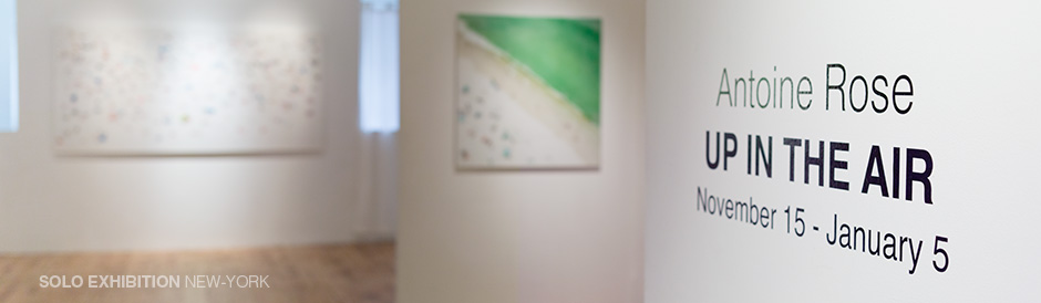Antoine Rose Solo Expo New-York City Emmanuel Fremin Gallery Gallery Emmanuel Fremin Antoine Rose Solo Exhibition New-York City